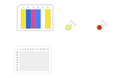 Rapid Automated Antibody Purification, 4 Samples - thumbnail