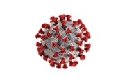 main illustration image - Detection of 2019-nCoV by RT-qPCR